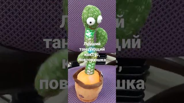 Кактус повторюшка, танцующий