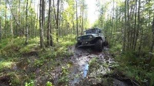 СКВОЗЬ БОЛОТА К ИЗБУШКЕ! На вездеходе до заброшки. Вытащил железную заначку.