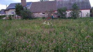 Мотоблок МТЗ с косилкой КРМ-1.