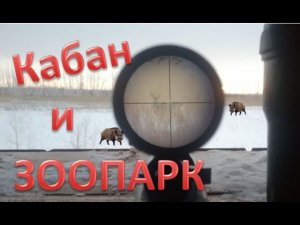 Поехал на кабана, а тут ЗООПАРК. I went to the wild boar, and then the ZOO. 4К