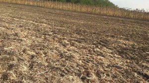 нашел серебро на выбитом поле.mp4