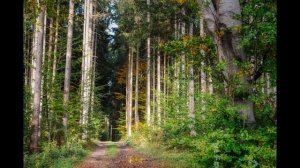 Токмак   История  (Киргизия)