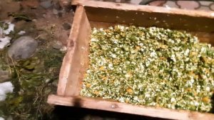 4 11 23 г Рубим зеленые щи Ивановские