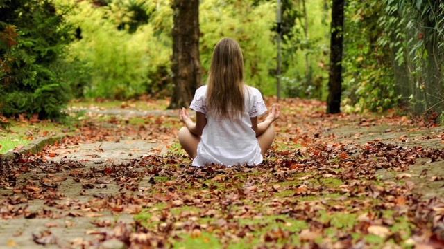 Молчание сердца - Роберт Адамс #просветление #сатсанг #самопознание смотреть онлайн