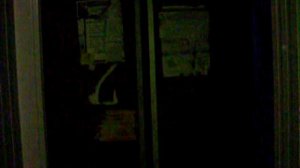 Электрический лифт V=1 м-с, грузоподъемность 320 кг (226)