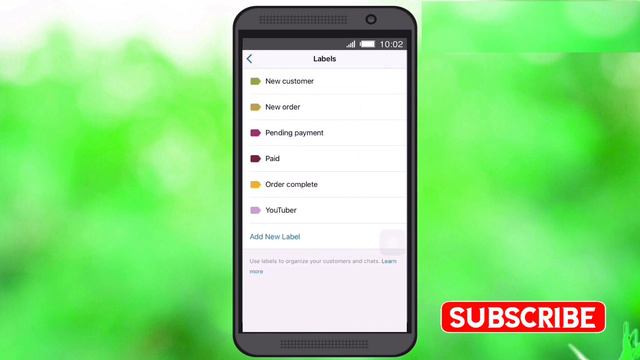 How to Use Whatsapp Business Labels | Urdu Hindi | whatsapp business labels kaise use kare смотреть онлайн