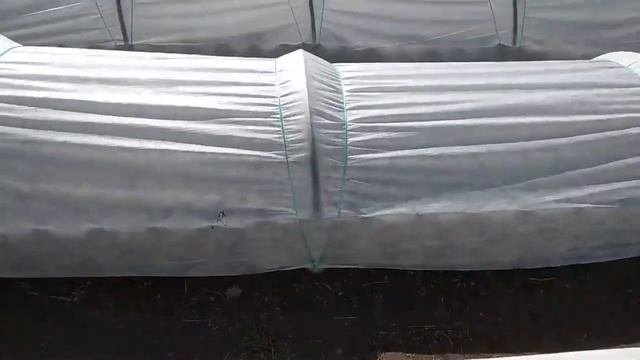 УРОЖАЙ НА УРА!!! КЛУБНИКА ПОСЛЕ ЗИМЫ//МУРАВЬИ// ЧЕСНОК... смотреть онлайн