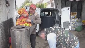 RAKIJA OD DUNJE - Proizvodnja dunje, zasad dunje