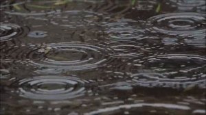 Шум дождя для сна и Лечебная Музыка 444гц для Обновление Клеток Организма