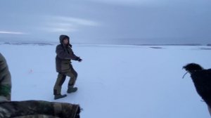 ПЕРЕЕХАЛИ НА ДРУГОЙ ПРУД И ПОПЕР КЛЁВ/ОСТАВИЛИ ЖЕРЛИЦЫ НА НОЧЬ!/Ловля щуки на жерлицы в январе