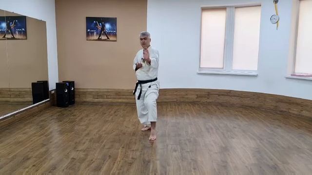 Стойка Nekoashi-dachi