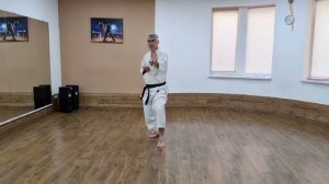 Стойка nekoashi-dachi