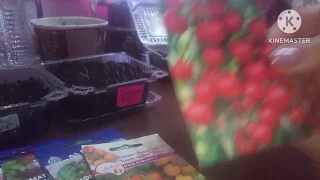 Обзор всходов семян смотреть онлайн