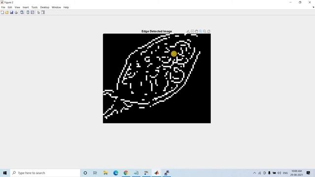 Detect Cell Using Edge Detection and Morphology смотреть онлайн