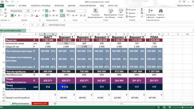 Инструкция ФИН устойчивость смотреть онлайн