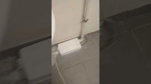 Грюндфос соло лифт д2 проверка после подключения.