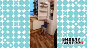 Неравный бой с холодильником. Видели видео? Фрагмент выпуска от 28.02.2021