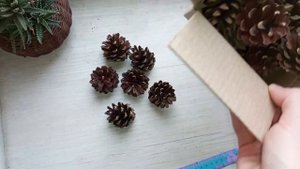 шишки сосновые для поделок