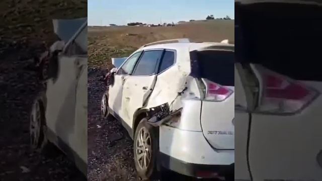 Два подростка и девять коров попали под колеса джипа в Бухаржырауском районе Карагандинской области смотреть онлайн