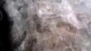 Омыватель на щетках