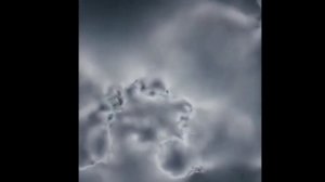 Ручка под микроскопом | увеличение в 1000 раз!