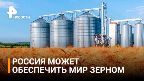 Обеспеченность зерном в России превышает 150% / РЕН Новости