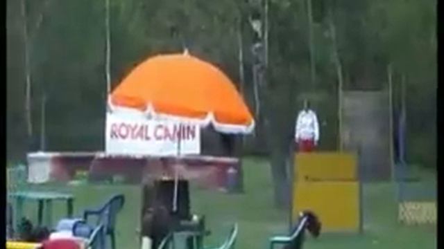 Carina Jasenevo Мондьоринг смотреть онлайн