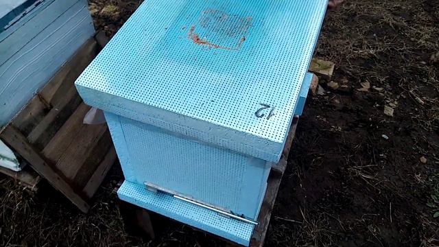 Зимовка пчёл в 8 рамочных уликах на 4.01 смотреть онлайн