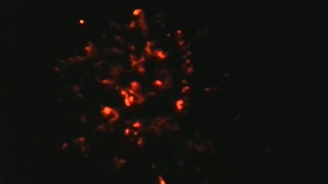 Жарим мясо на древесно-угольных брикетах. (часть 8) смотреть онлайн