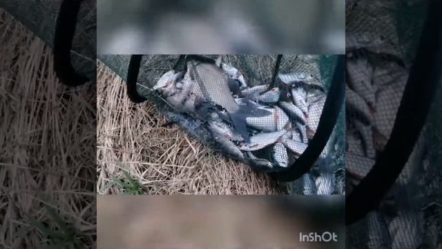 а.Круглое, приток р.Друть,Тетеринское водохранилище, рыбалка на поплавок, апрель 2021 смотреть онлайн