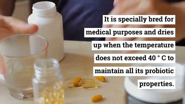 Brewer's Yeast :- Benefits and types and side effects смотреть онлайн