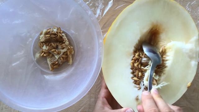 АСМР-Туториал Как нарезать дыню/ ASMR-Tutorial How to cut a melon/ ASMR-Tutorial Tagliare un melone смотреть онлайн