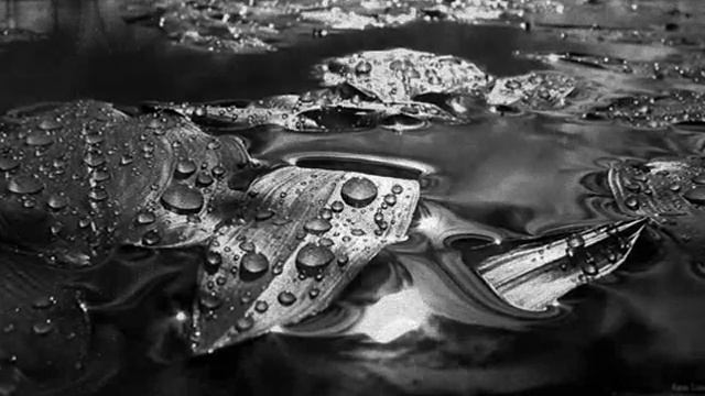 Отпустите меня в мой сон.wmv