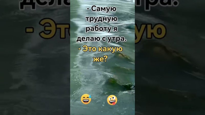 30 июня 2024 г.