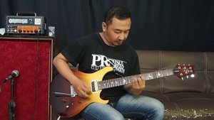 PRS SE Custom 24 Amber Fade Limited Edition - Paul Reed Smith guitar