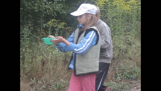 дети и собаки на каникулах.wmv смотреть онлайн