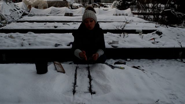 Подзимние посевы: как правильно посеять под зиму и не ошибиться со сроком посева. Что сеют в зиму