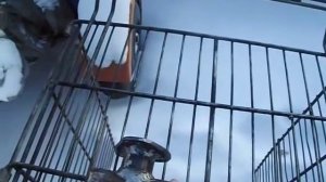 Самодельный подогрев на трактор мтз (часть 1)