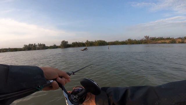 Рыбалка на хищника, Дунай(Вилково) 24-25.09.2020 смотреть онлайн