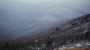 Гора Криничная (Хуалаза). Шкотовский район. Путешествия по Приморскому краю.