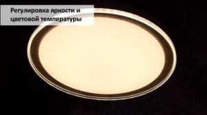 Светильник потолочный Escada Led 10269/S LED