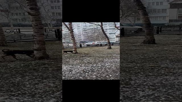Весны не будет