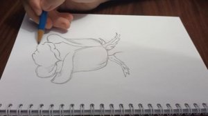 РИСУЮ РОЗУ КАРАНДАШОМ