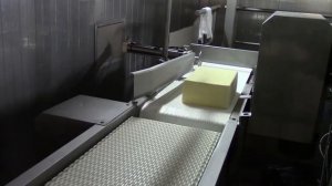 Завод по производству сыра