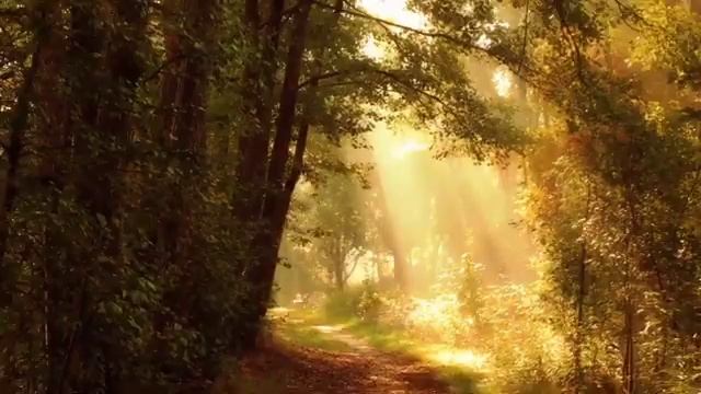 Медитация перед сном, Гармония ума, остановка внутреннего диалога, Гипноз для сна смотреть онлайн