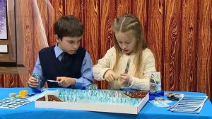 Настольные игры "Чёрная каракатица" и "Колесо обозрения"