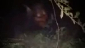 4 видеоролика, которые не могут объяснить скептики