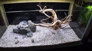 Запуск аквариума 140 литров. Грунт, декорации, посадка растений. Аквапеределкино.