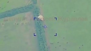 Работа добровольческой ударной бригады «Царские волки"