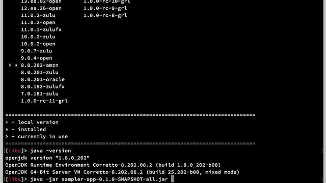 Sample Griffon/JavaFX application running on Amazon Corretto 8 смотреть онлайн